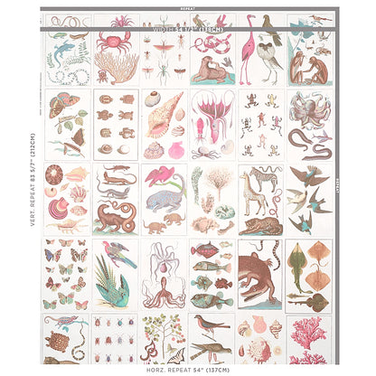 SCHUMACHER  SIGNATURE SCHUMACHER BAUHIN   SOFT MULTI   - 5012091