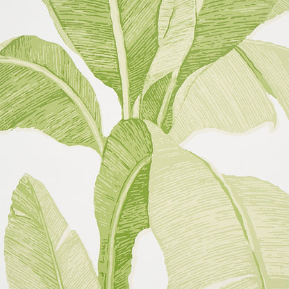 SCHUMACHER WALLCOVERING  COPACABANA ERISIMO   LEAF   - 5012110