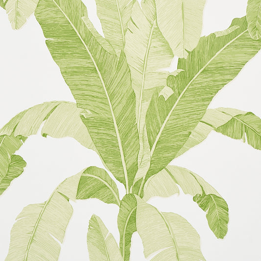 SCHUMACHER WALLCOVERING  COPACABANA ERISIMO   LEAF   - 5012110