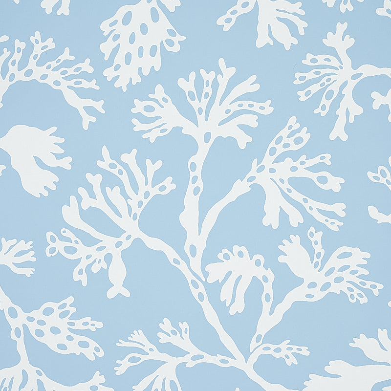 Light blue wallpaper with white coral reef pattern, coastal décor.
