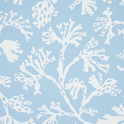 Light blue wallpaper with white coral reef pattern, coastal décor.