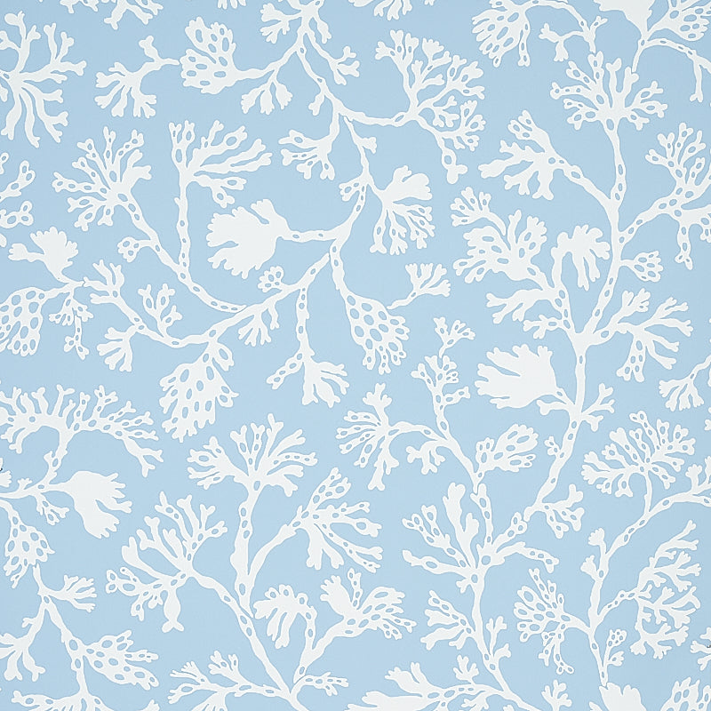Blue background with white coral-branch botanical pattern; coastal style fabric or wallpaper.