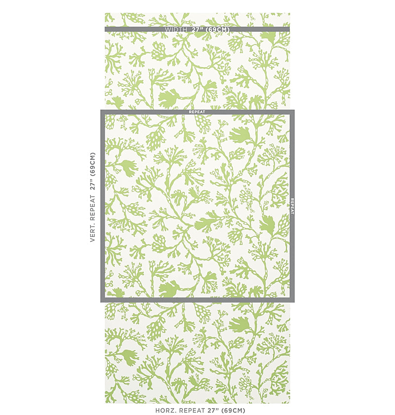 SCHUMACHER  SIGNATURE SCHUMACHER ANTHOZA   Green   - 5012131