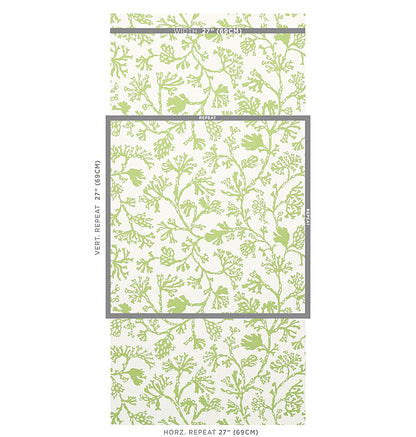 SCHUMACHER  SIGNATURE SCHUMACHER ANTHOZA   Green   - 5012131