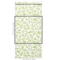 SCHUMACHER  SIGNATURE SCHUMACHER ANTHOZA   Green   - 5012131