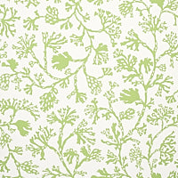 SCHUMACHER  SIGNATURE SCHUMACHER ANTHOZA   Green   - 5012131