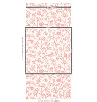 SCHUMACHER  SIGNATURE SCHUMACHER ANTHOZA   Coral   - 5012132