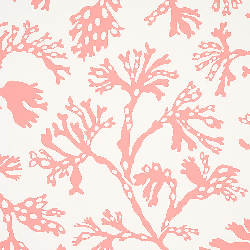 SCHUMACHER  SIGNATURE SCHUMACHER ANTHOZA   Coral   - 5012132