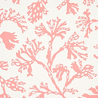 SCHUMACHER  SIGNATURE SCHUMACHER ANTHOZA   Coral   - 5012132