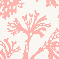 SCHUMACHER  SIGNATURE SCHUMACHER ANTHOZA   Coral   - 5012132