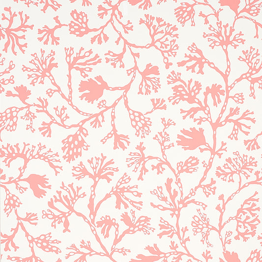 SCHUMACHER  SIGNATURE SCHUMACHER ANTHOZA   Coral   - 5012132