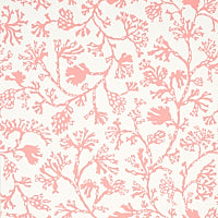 SCHUMACHER  SIGNATURE SCHUMACHER ANTHOZA   Coral   - 5012132