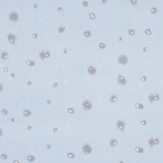 SCHUMACHER  PORTER TELEO STELLAR   BLUE   - 5012192