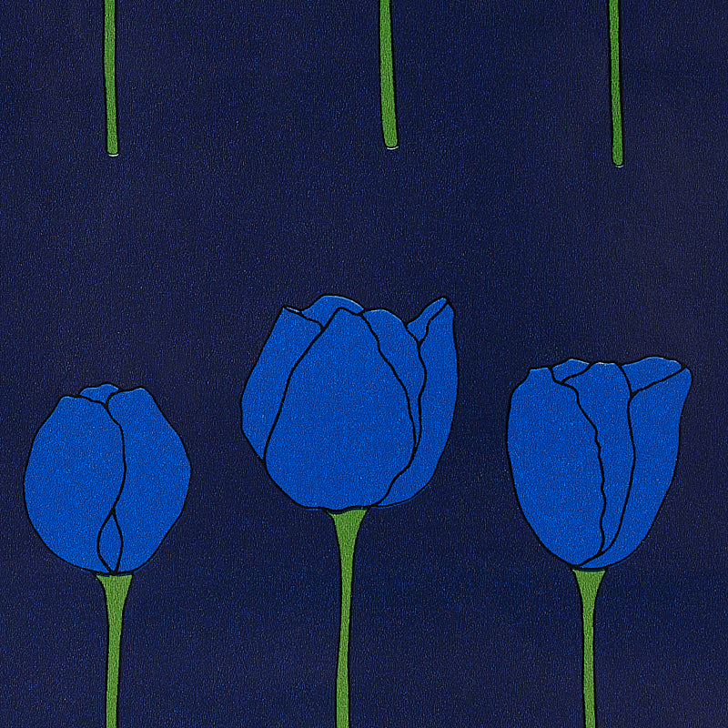 SCHUMACHER  CRISTINA BUCKLEY EDIE   ELECTRIC JEWEL   - 5012580