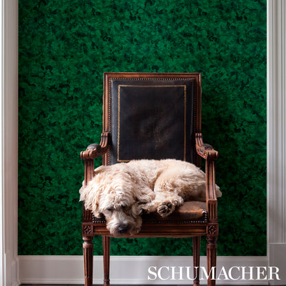 Antique wooden armchair with carved legs and black leather seat; fluffy light dog lounging by green textured wall.