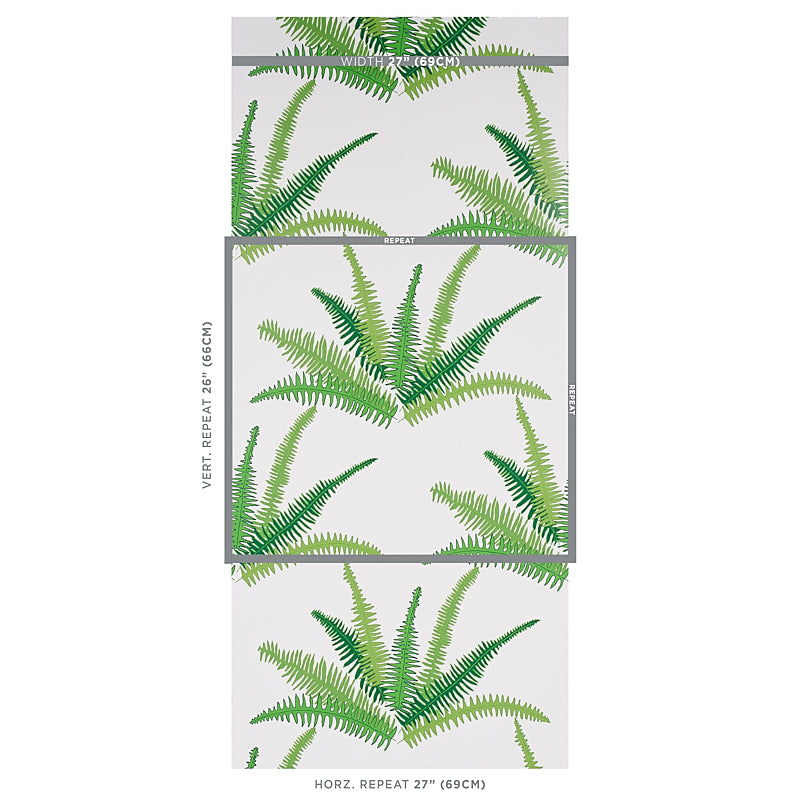 Green fern leaf wallpaper on white with gray border lines; 27 inch width and 26 inch vertical repeat.