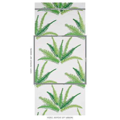 Green fern leaf wallpaper on white with gray border lines; 27 inch width and 26 inch vertical repeat.