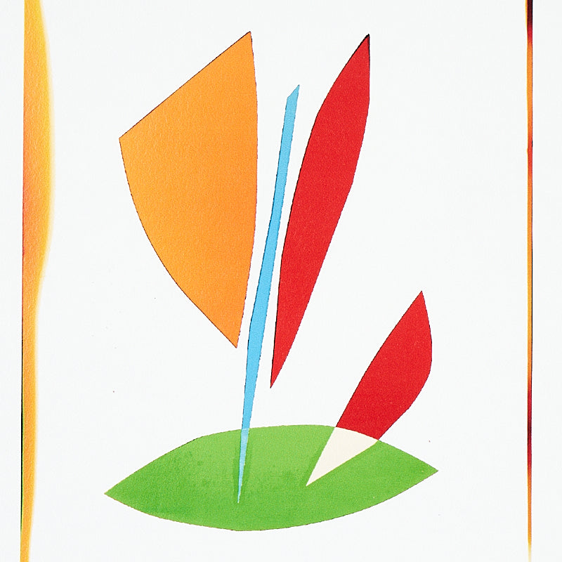 SCHUMACHER  LIZ NIELSEN FOR PEG NORRISS BOTANICALS   SPECTRUM MULTI   - 5012690