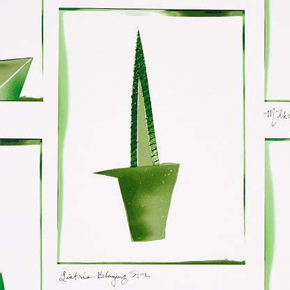 SCHUMACHER  LIZ NIELSEN FOR PEG NORRISS BOTANICALS   GREENHOUSE   - 5012691