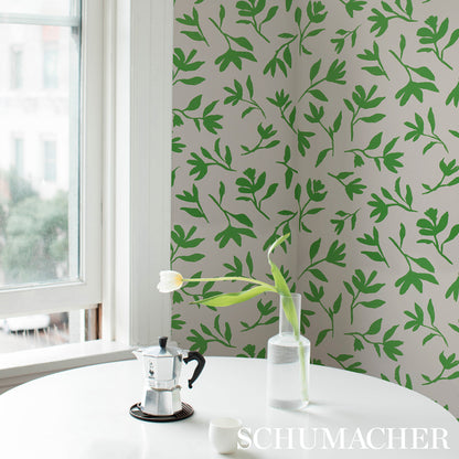 SCHUMACHER  SMITH STREET LAUREL   Green   - 5013070