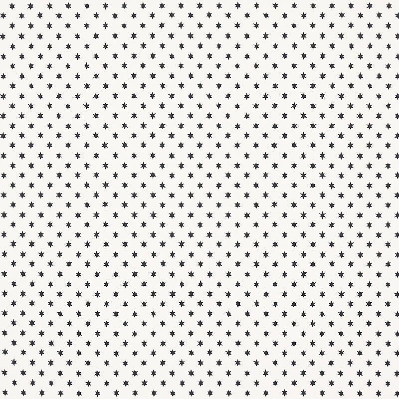 SCHUMACHER WALLCOVERING  HOBE ERWIN ASTRAL   BLACK   - 5013140