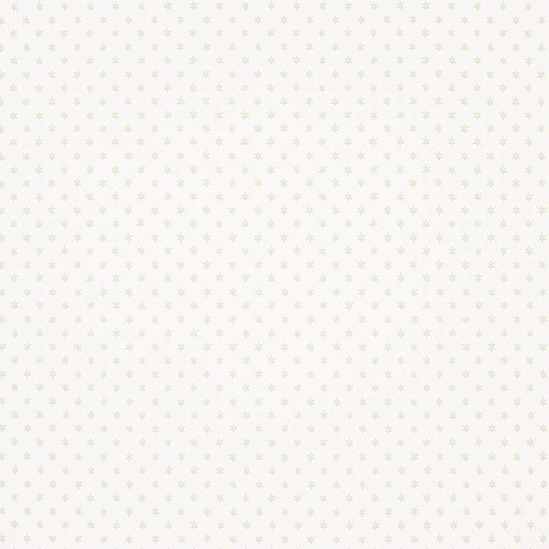 SCHUMACHER WALLCOVERING  HOBE ERWIN ASTRAL   GREEN   - 5013142