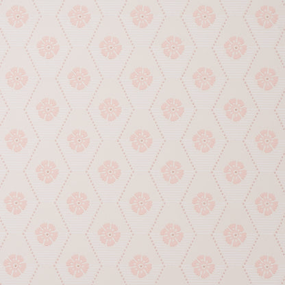 SCHUMACHER WALLCOVERING  HOBE ERWIN HIVE BLOOM   BLUSH   - 5013163