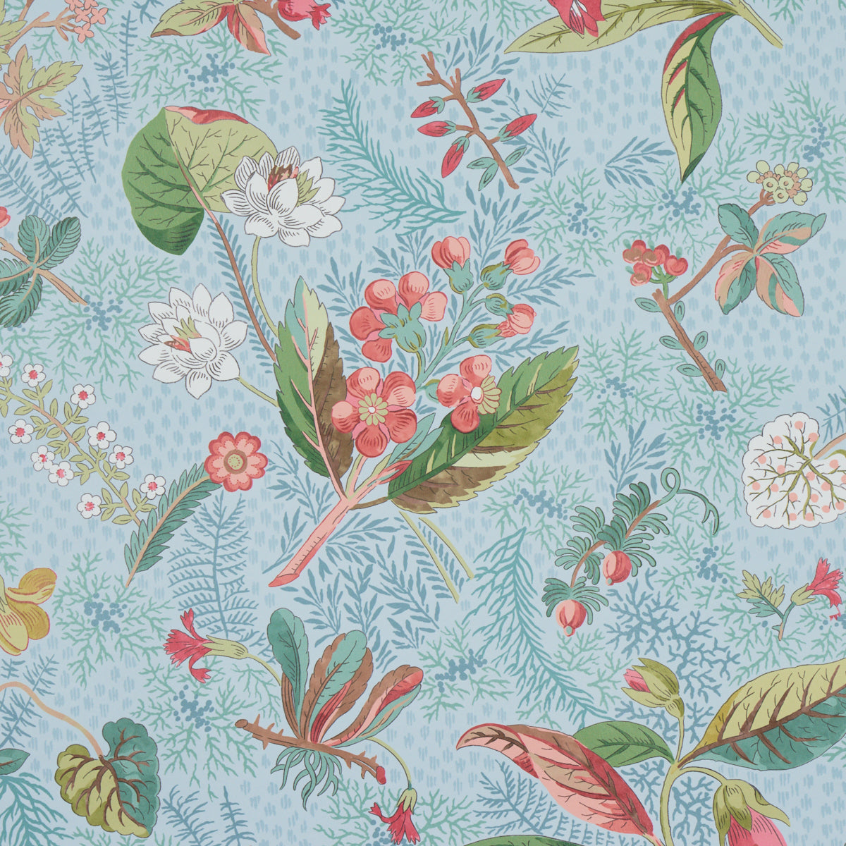 SCHUMACHER  SCHUMACHER CLASSICS BLACKWELL   SKY   - 5013221