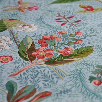 SCHUMACHER  SCHUMACHER CLASSICS BLACKWELL   SKY   - 5013221