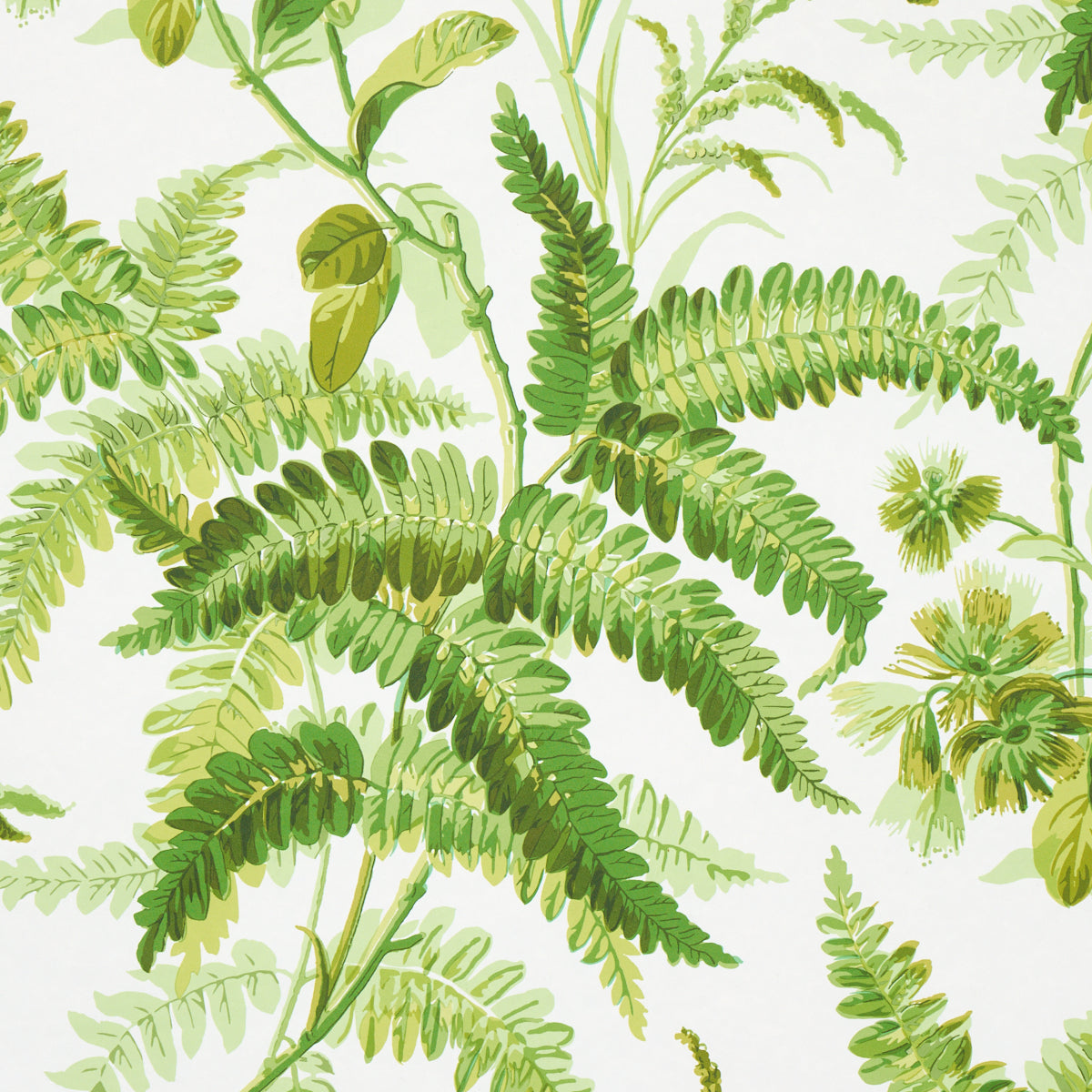 Tropical fern pattern with varied green fronds and leafy stems.