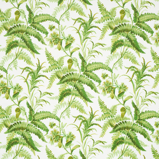 SCHUMACHER  SCHUMACHER CLASSICS MYERS FERN   TROPICAL   - 5013231