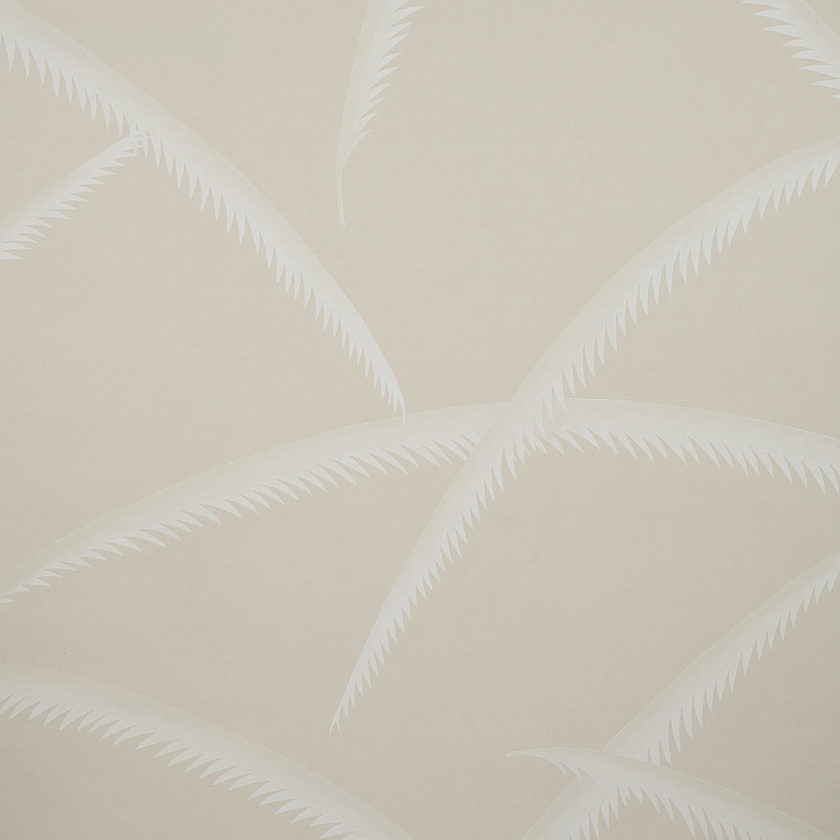 Ivory palm frond pattern wallpaper on natural background.