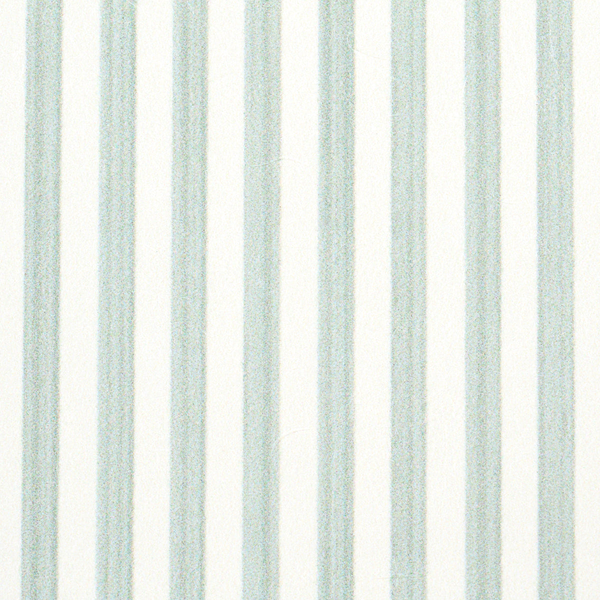 SCHUMACHER  PERENNIAL FAVORITES EDWIN STRIPE NARROW   EUCALYPTUS   - 5013602