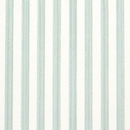 SCHUMACHER  PERENNIAL FAVORITES EDWIN STRIPE NARROW   EUCALYPTUS   - 5013602