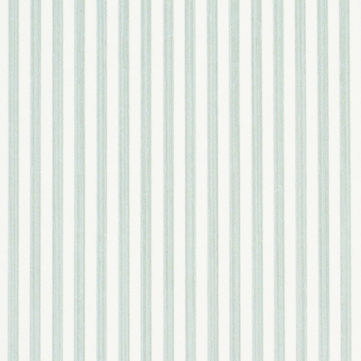 SCHUMACHER  PERENNIAL FAVORITES EDWIN STRIPE NARROW   EUCALYPTUS   - 5013602