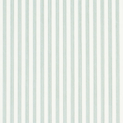 SCHUMACHER  PERENNIAL FAVORITES EDWIN STRIPE NARROW   EUCALYPTUS   - 5013602