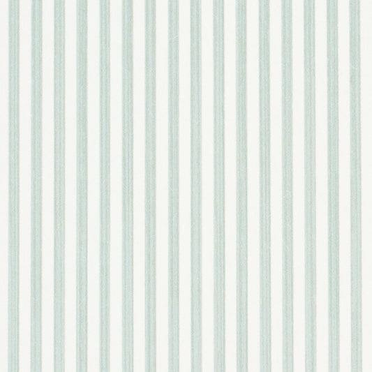 SCHUMACHER  PERENNIAL FAVORITES EDWIN STRIPE NARROW   EUCALYPTUS   - 5013602