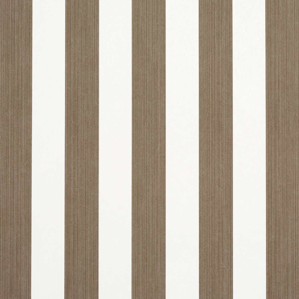 SCHUMACHER  PERENNIAL FAVORITES EDWIN STRIPE MEDIUM   MOCHA   - 5013612