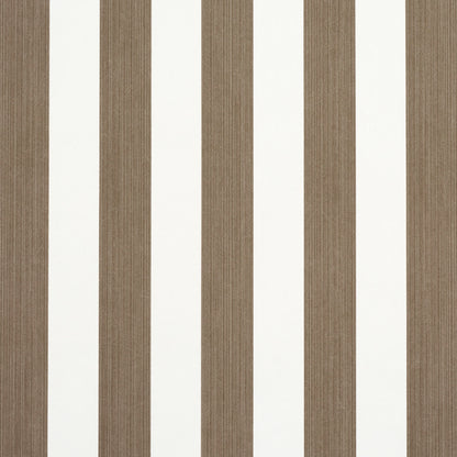 SCHUMACHER  PERENNIAL FAVORITES EDWIN STRIPE MEDIUM   MOCHA   - 5013612
