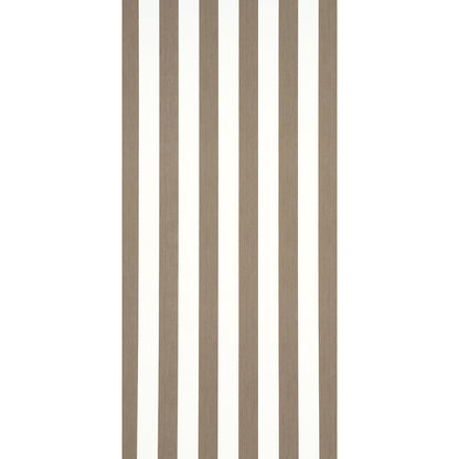 SCHUMACHER  PERENNIAL FAVORITES EDWIN STRIPE WIDE   MOCHA   - 5013621