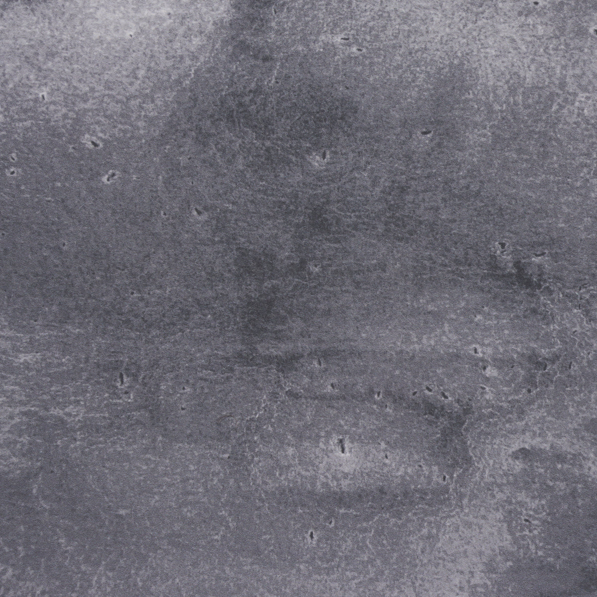 Off-black textured backdrop with subtle mottling and small pockmarks.