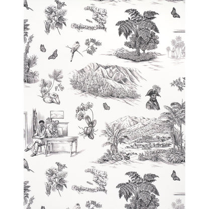 SCHUMACHER WALLCOVERING  VICTOR GLEMAUD TOUSSAINT TOILE   BLACK ON IVORY   - 5013770
