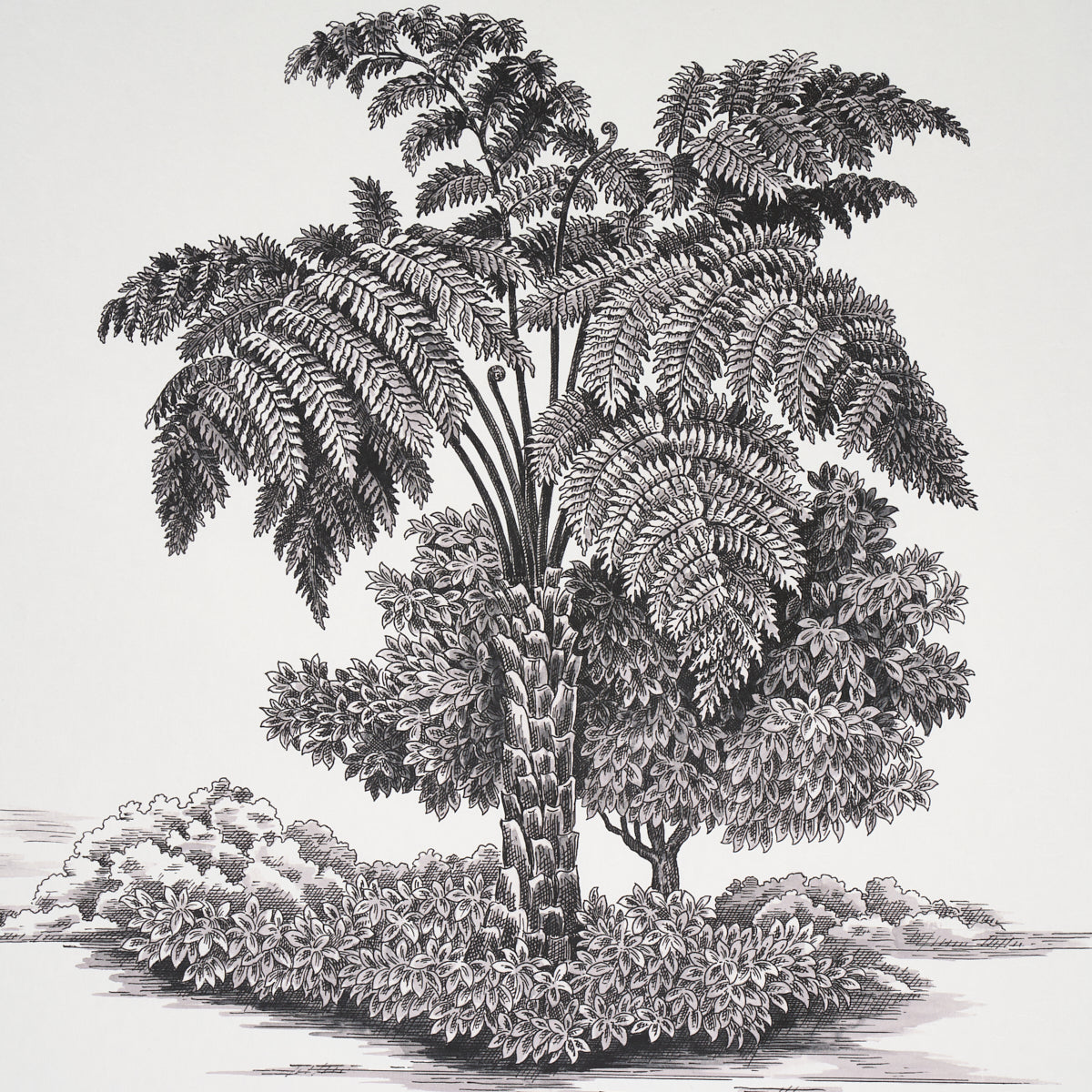 SCHUMACHER WALLCOVERING  VICTOR GLEMAUD TOUSSAINT TOILE   BLACK ON IVORY   - 5013770