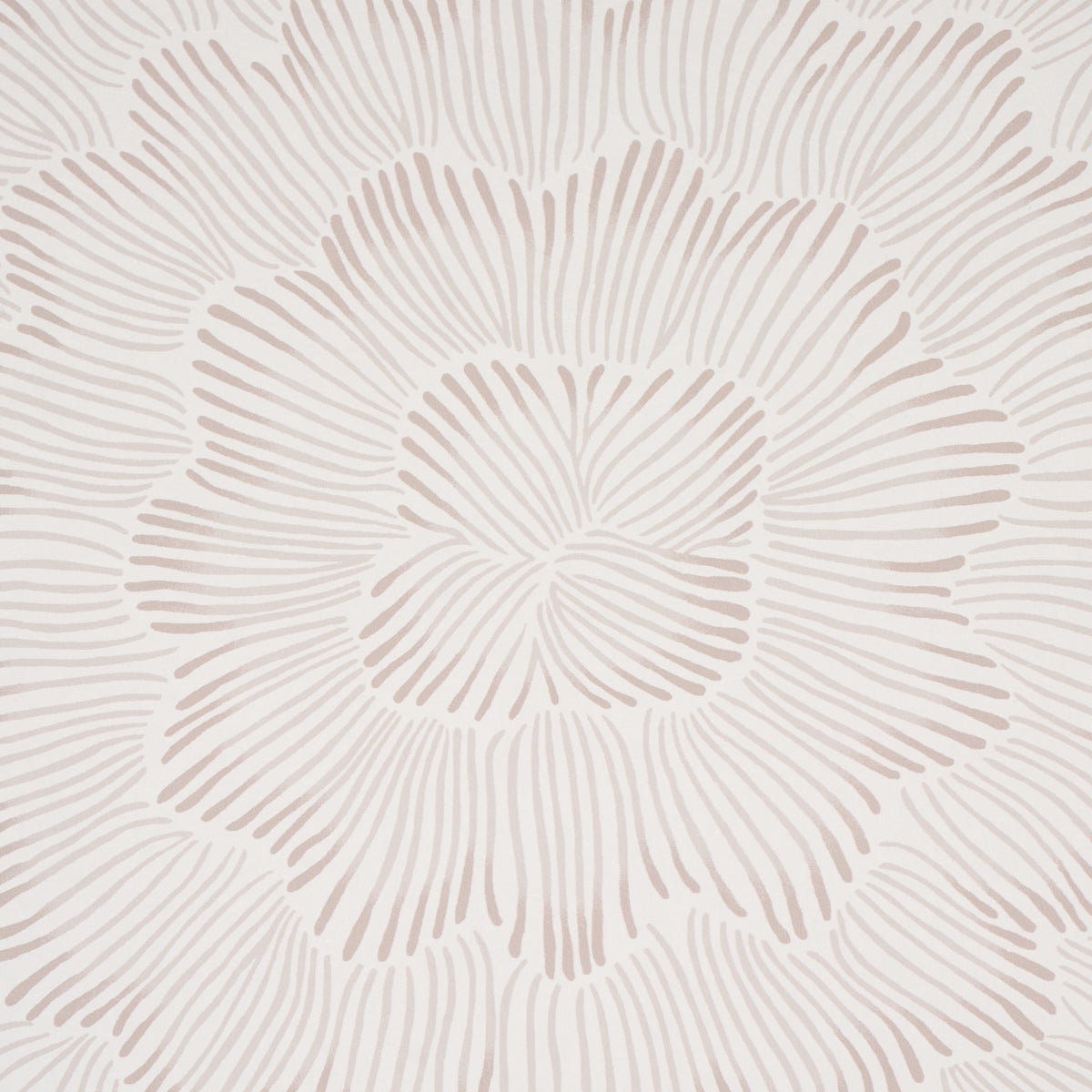 SCHUMACHER WALLCOVERING  FULL BLOOM FEATHER BLOOM   SOFT NEUTRAL   - 5013821