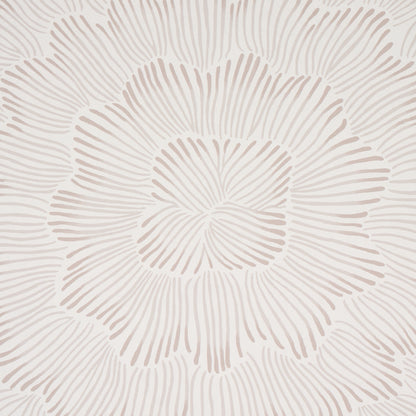 SCHUMACHER WALLCOVERING  FULL BLOOM FEATHER BLOOM   SOFT NEUTRAL   - 5013821