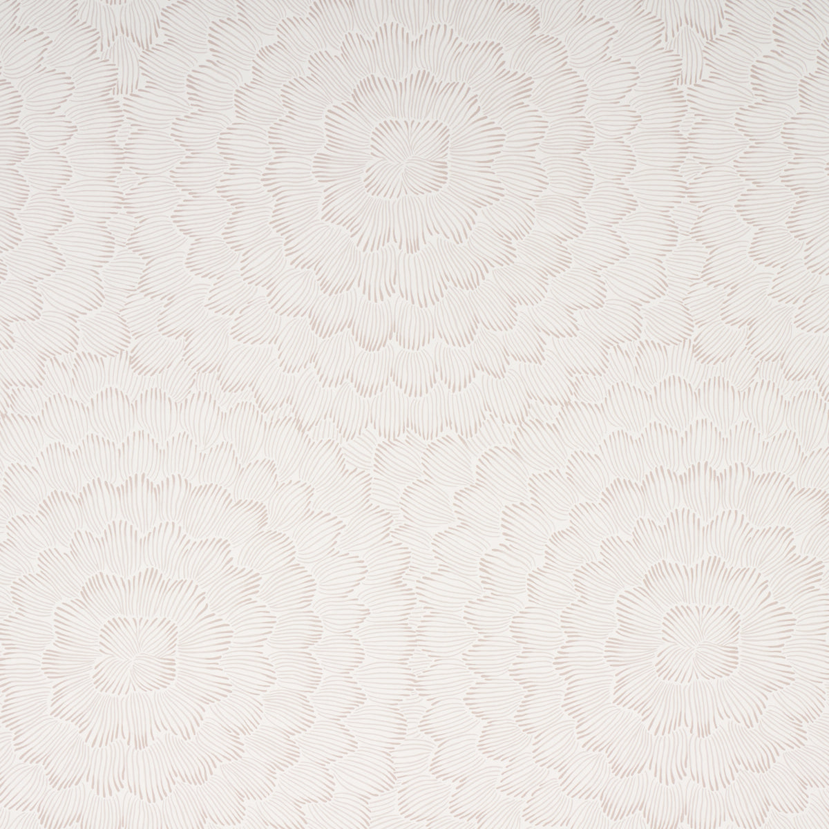 SCHUMACHER WALLCOVERING  FULL BLOOM FEATHER BLOOM   SOFT NEUTRAL   - 5013821