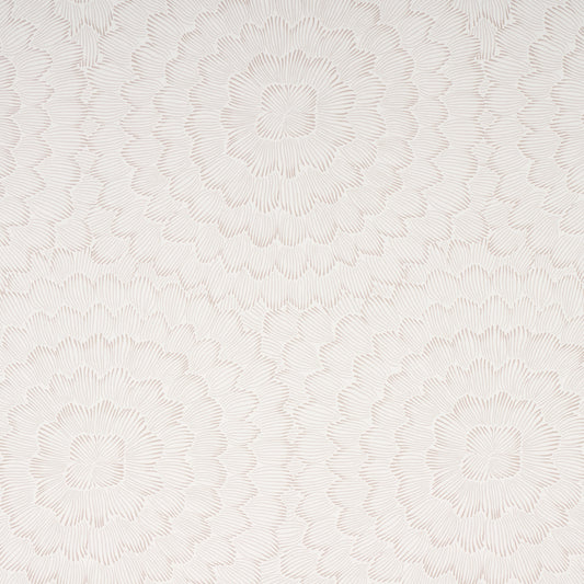 SCHUMACHER WALLCOVERING  FULL BLOOM FEATHER BLOOM   SOFT NEUTRAL   - 5013821