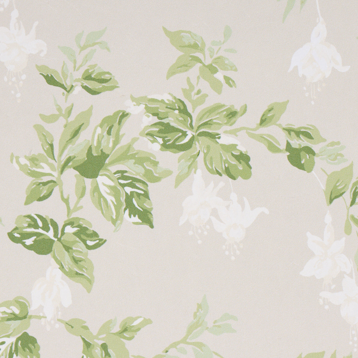 Beige wallpaper with green leafy vines and white flowers in a soft botanical print.