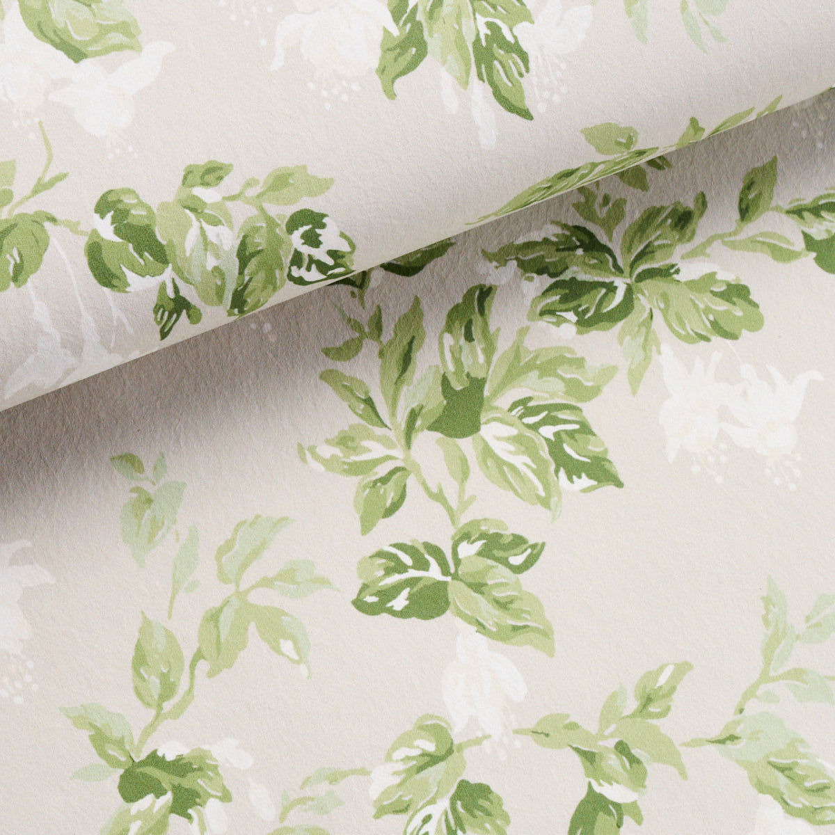Soft neutral wallpaper with watercolor green leafy vines; rolled sample for interior decor.