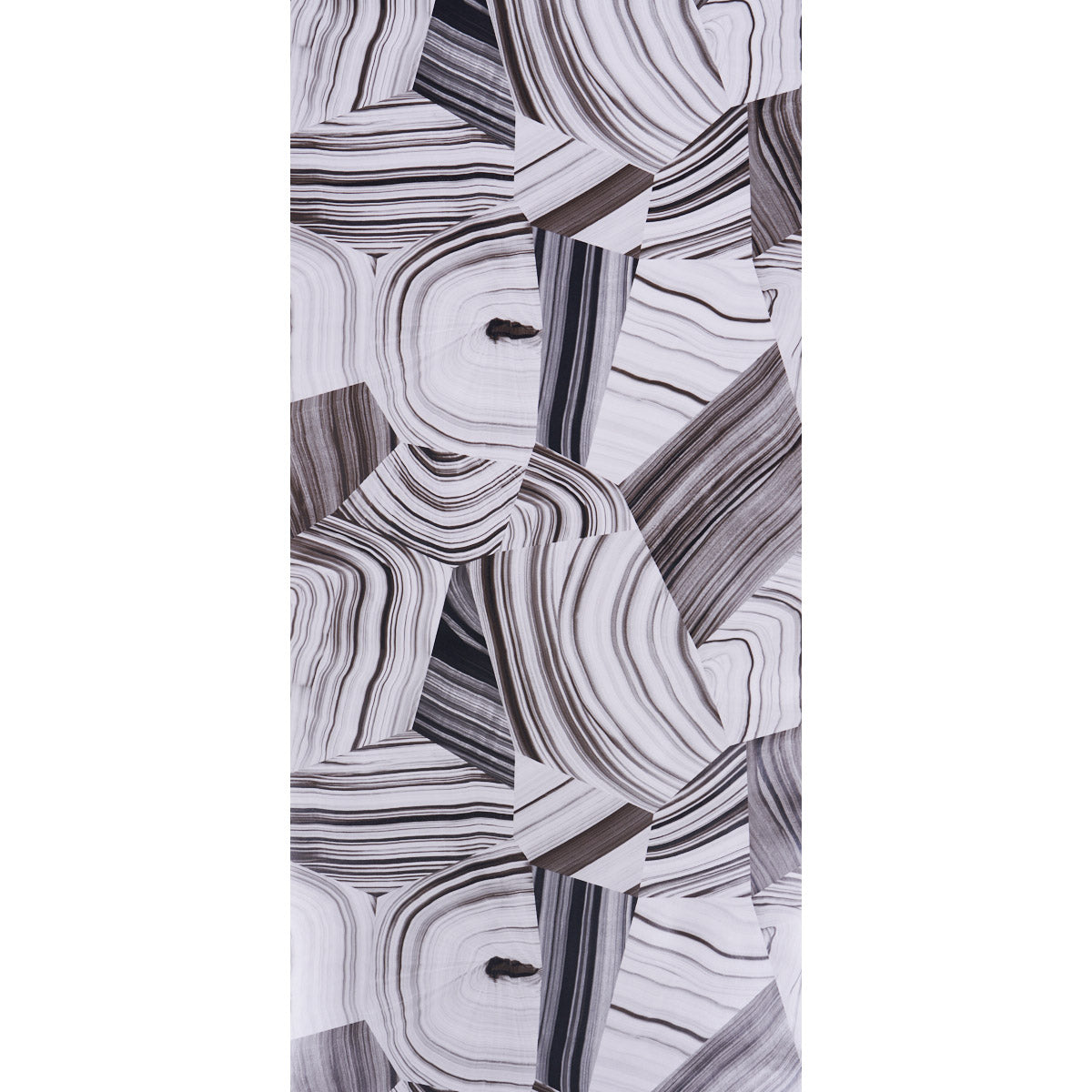 Black & white agate slice with swirling concentric bands.